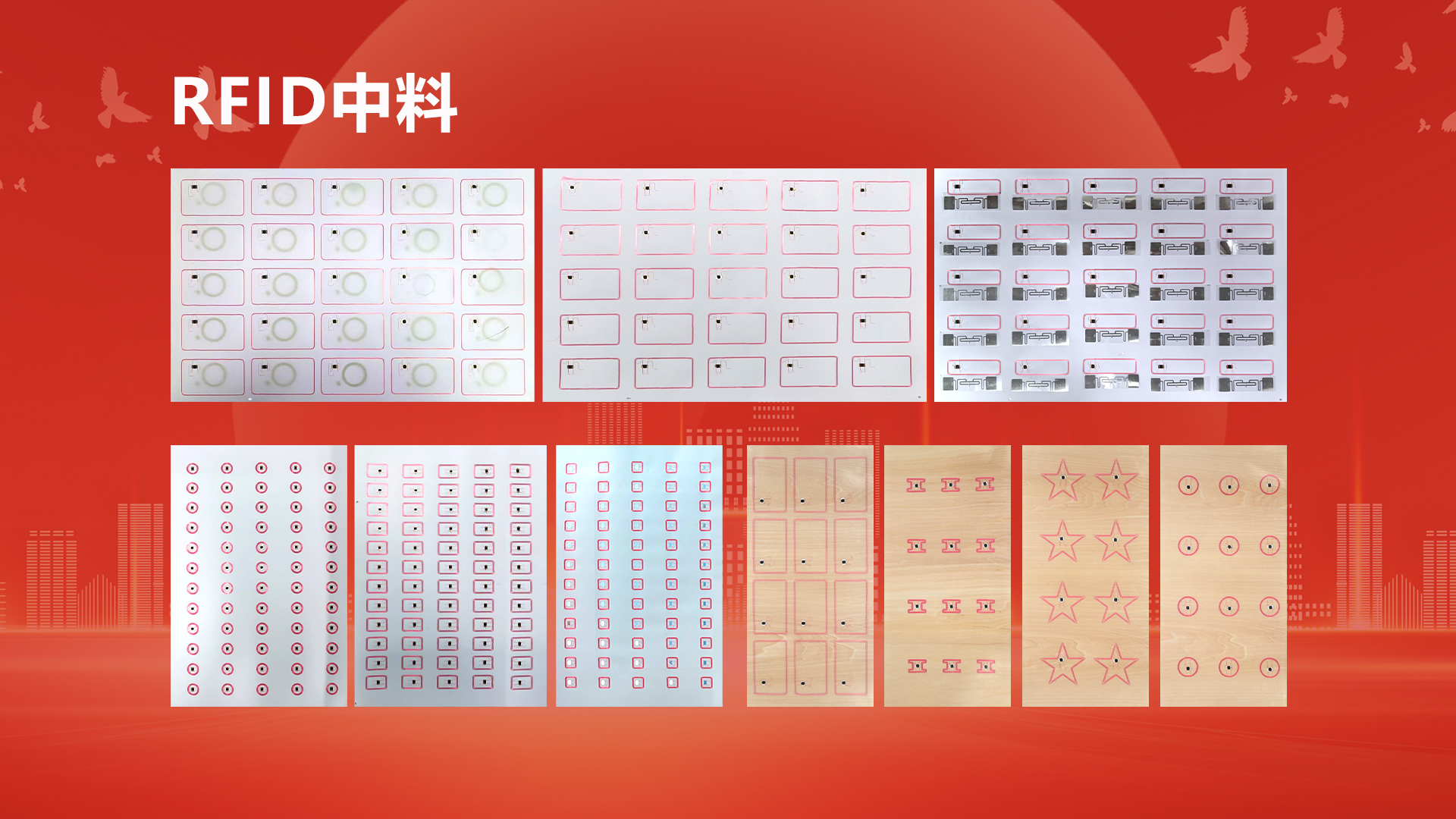 微信圖片_20250929104412_438_127